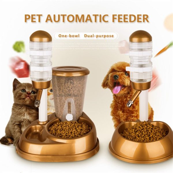 Automatic Feeder with Water Fountain Large Capacity