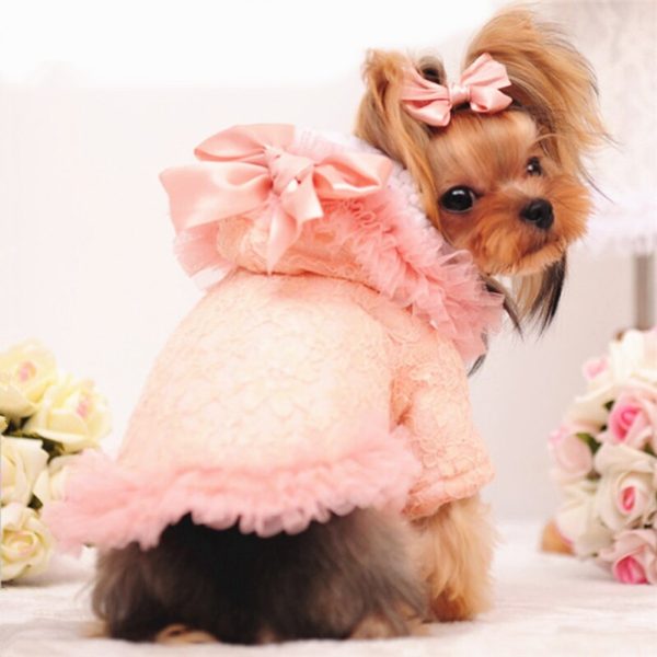 Girl Dog Clothes Winter Female Dog Coat Pink Cute Lace Fleece Lined Warm Dog Jacket Chihuahua Yorkshire Winter Dog Clothes XS-XL