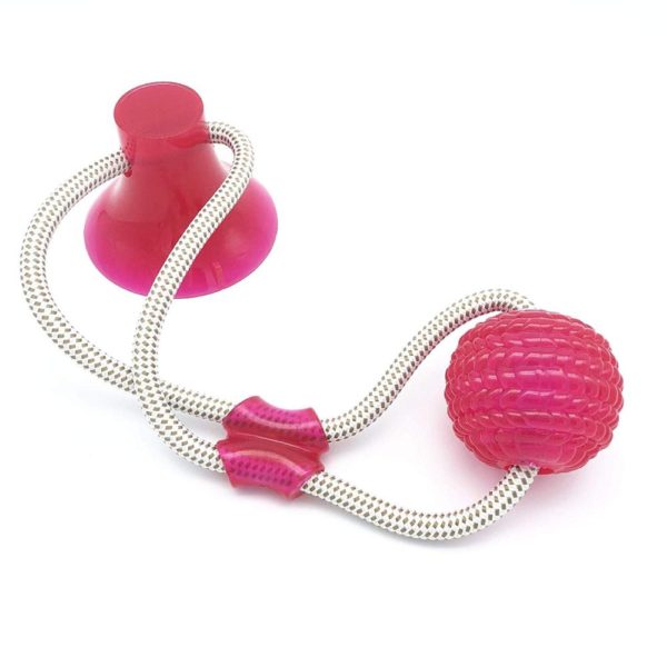 Molar bite ball toy Interactive fun Pet rope