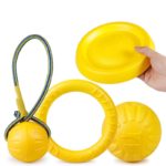 EVA Pet Dog Floating Water Toy Bite-resista