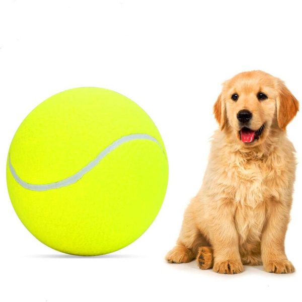Dog Tennis Balls Pet Tennis Fun Toy