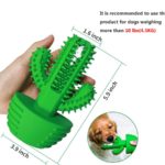 Cactus Shape Dog Squeaky Toy Natural rubber Dog Chew - Image 2