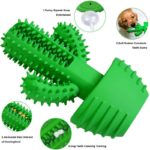 Cactus Shape Dog Squeaky Toy Natural rubber Dog Chew - Image 3