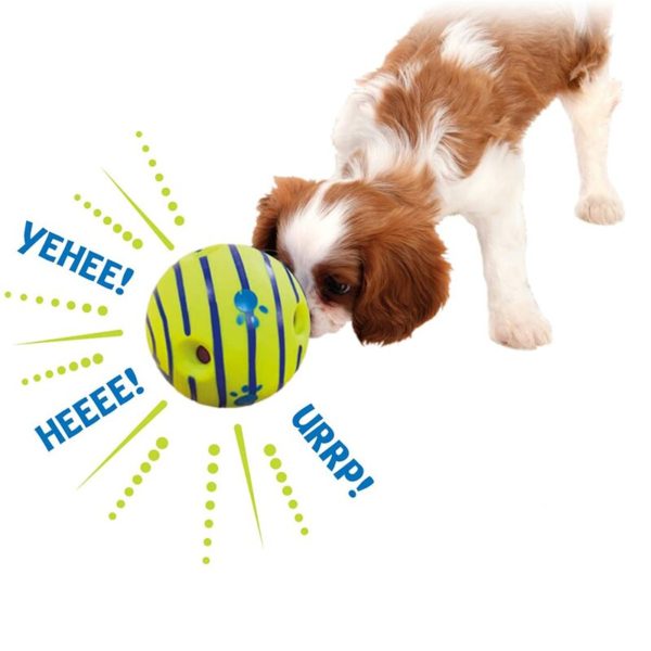 Pet Dog Chewing Toys with Sounds - Engage, Entertain, and Exercise Your Canine Companion