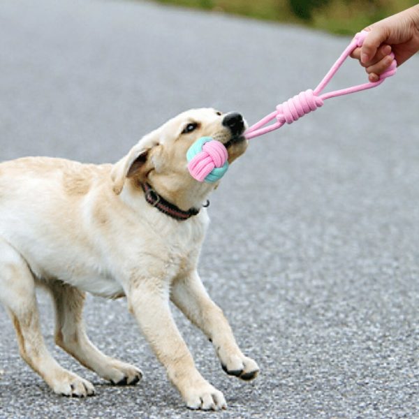 Dog Toy Interactive Pet Dog Puppy Chew