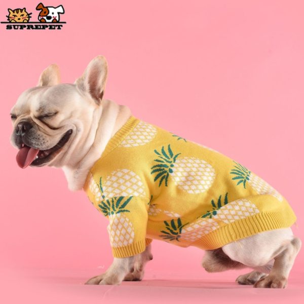 Puppy Hoodie for French Bulldog Cute Pineapple