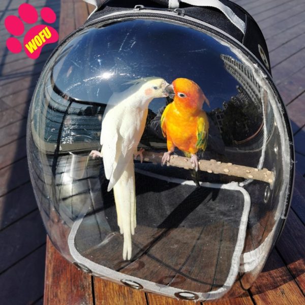 Outdoor Bird Backpack Breathable Parrots