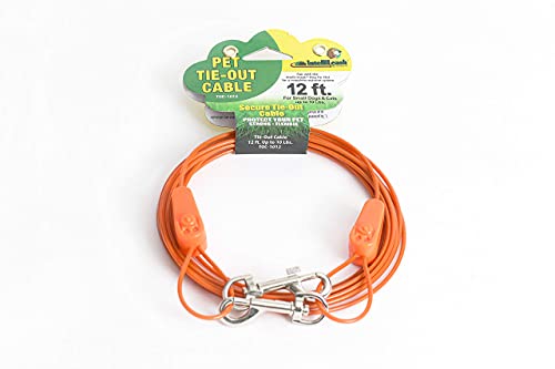 IntelliLeash Tie-Out Cable for Dogs up to 10 Pounds