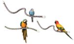 JW Pet Comfy Perch For Birds Flexible Multi-color Rope - Image 6