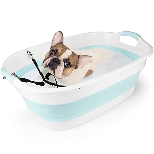 Portable Puppy Bathtub with Adjustable Harness