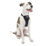 Kurgo Dog Harness, Pet Walking Harness
