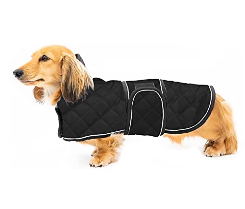 Dog Winter Coat with Warm Fleece Lining