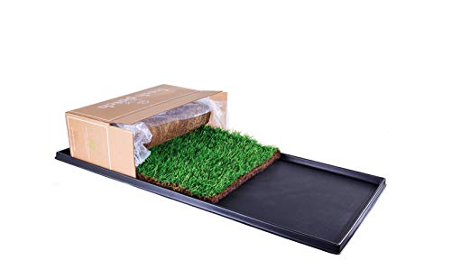 Real Grass Pee and Potty Training Pad and Plastic Tray
