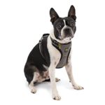 Kurgo Impact Dog Car Harness