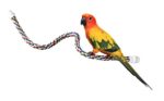 JW Pet Comfy Perch For Birds Flexible Multi-color Rope - Image 4