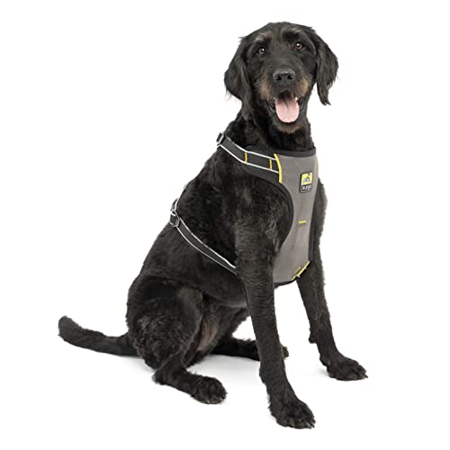 Kurgo Car Safety Dog Harness, Crash Tested Harness for Dogs
