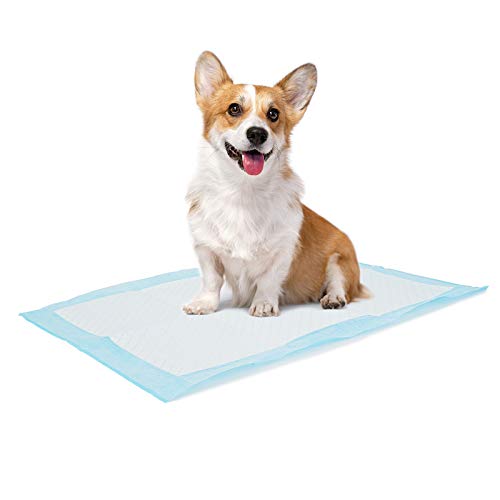 Ultra Absorbent Dog and Puppy Training Pads