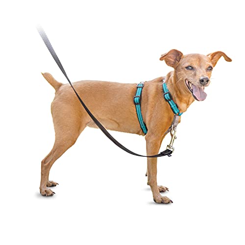 PetSafe 3in1 Harness, from The Makers of The Easy Walk Harness