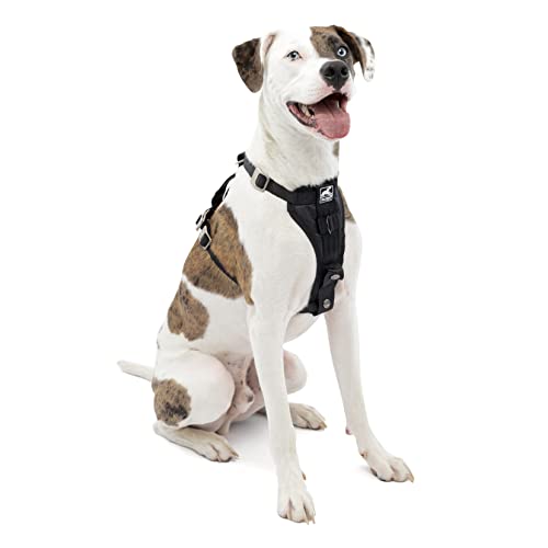 Car Harness for Dogs , Medium , Black , Pet Safety Seat Belt