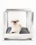 Portable Dog Crate for Small Dogs and Puppies