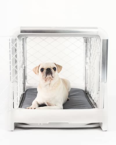 Portable Dog Crate for Small Dogs and Puppies