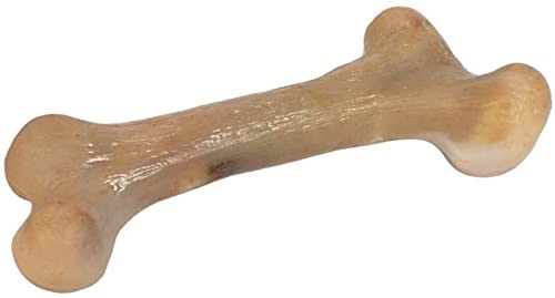 Pet Qwerks Extreme Dinosaur BarkBone Dog Chew Toy