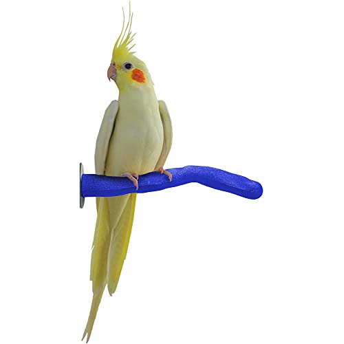 Sweet Feet and Beak Safety Pumice Perch Bird Toy