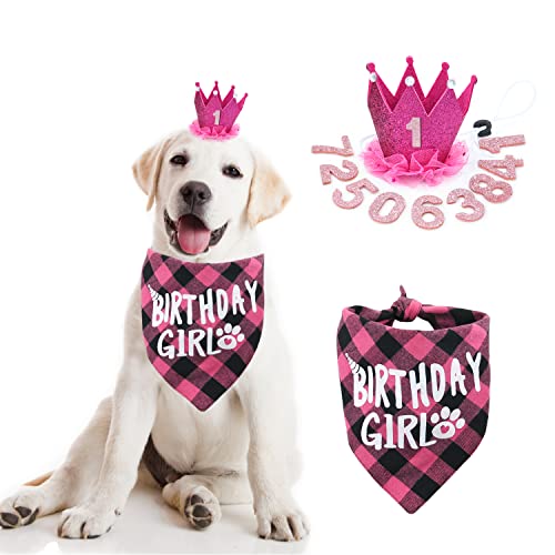 Girl Dog Birthday Hat with Number