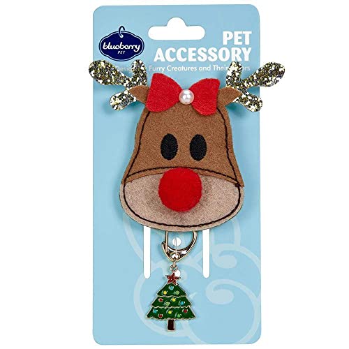 Blueberry Pet Christmas Accessory Set