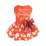 Top Vest Pumpkin Pie Dog Dress