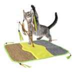 Large Cat Scratching Mat