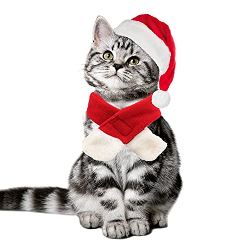 Christmas Santa Hat Scarf for Cat Dog