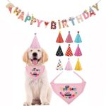 Cute Dog Birthday Bandana Scarfs