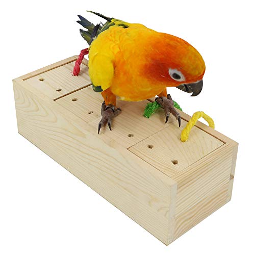 Medium and Large Parrot Bird Foraging Feeder Toys