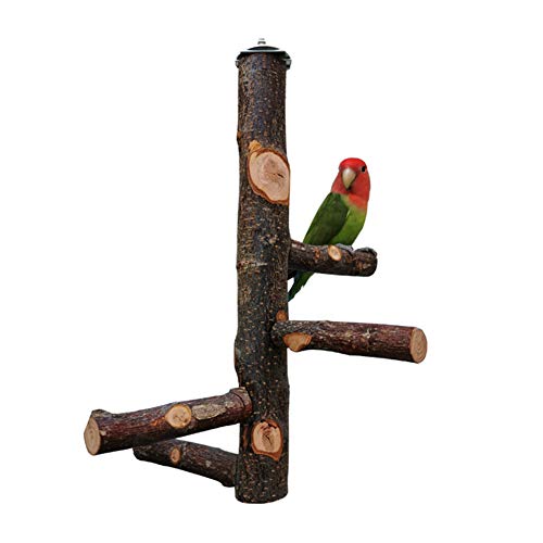 Bird Perch Nature Wood Stand Toy Branch