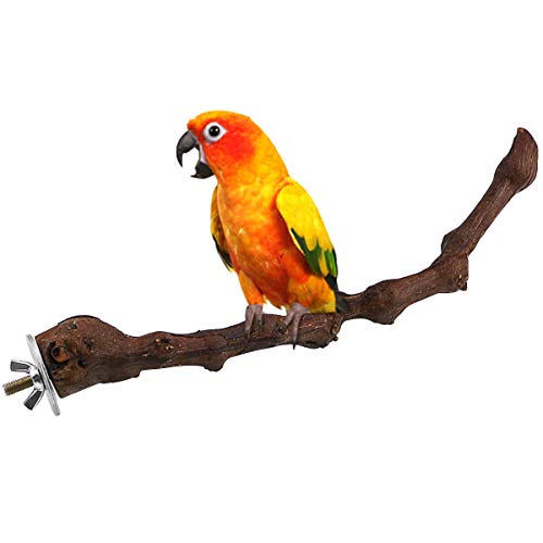 Sc0nni Wood Bird Stand Perch