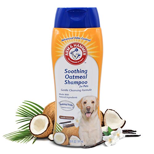 Arm & Hammer Oatmeal Shampoo for Dogs