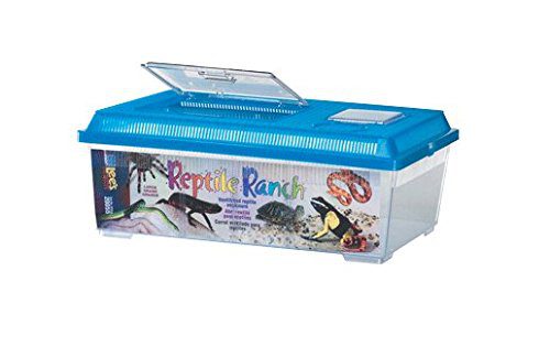 Lee's Reptile Ranch, Large, Rectangle with Lid