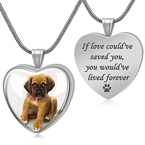 Farfume Personalized Pet Urn Necklace for Dog