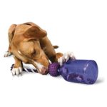 Premier Pet PetSafe Busy Buddy Tug-A-Jug