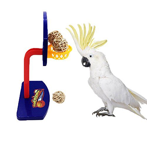 Hypeety Bird Intellective Mini Basketball Rack Training Toy