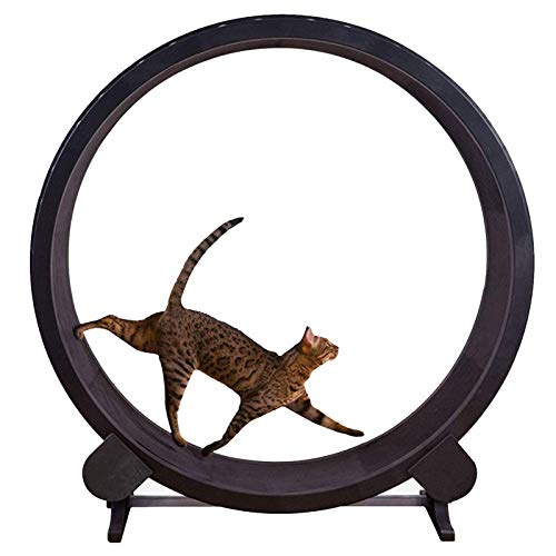 Pet Cat Exercise Dog Treadmill Wheel
