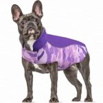 IDOMIK Dog Winter Coat Waterproof Camo Jackets