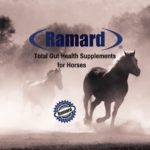 Ramard Total Gut Health for Horse - Image 4