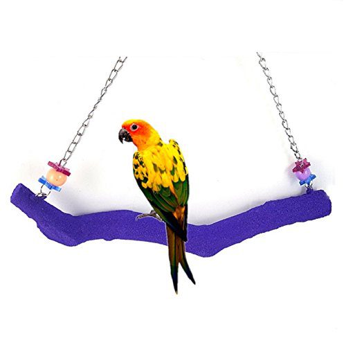 Petall Bird Parrot Swing Perch Cage Hanging Toy