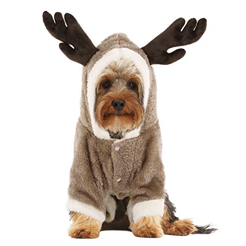 Queenmore Dog Costume for Halloween Christmas