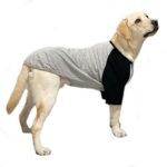 Small and Large Dogs Cotton Shirts