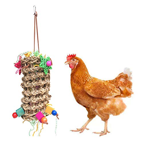 Soeenaper Chicken Toys for Hen with Natural Colorful Shredder