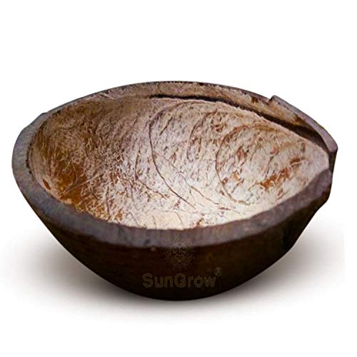 SunGrow Reptile Water Bowl with Sanded Bottom