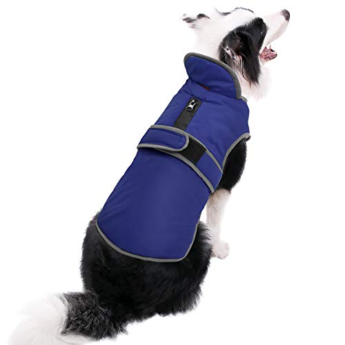 Stay Safe and Dry: The Reflective Waterproof Windproof Dog Coat